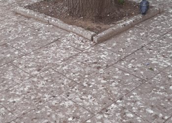 Shikoni gjendjen e mjerueshme të sheshit