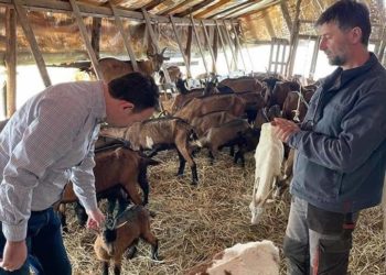 Ministri mitrovicas Faton Peci sërish del në terren, viziton një blegtor të suksesshëm në fshatin Novolan