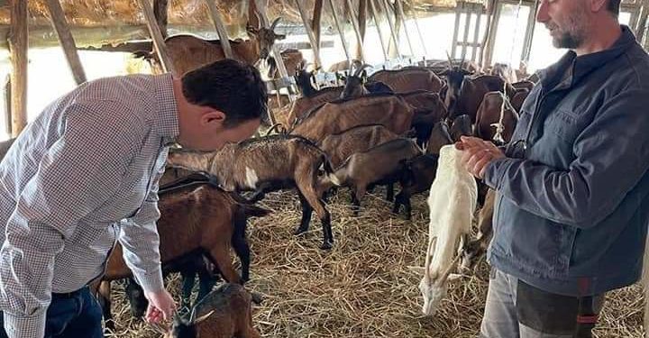 Ministri mitrovicas Faton Peci sërish del në terren, viziton një blegtor të suksesshëm në fshatin Novolan