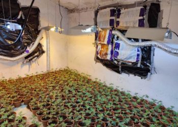 Xhelal Sveçla : U shkatërrua laboratori i radhës i kultivimit të substancave narkotike në Komunën e Zveçanit