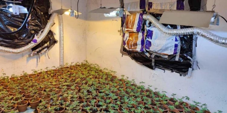 Xhelal Sveçla : U shkatërrua laboratori i radhës i kultivimit të substancave narkotike në Komunën e Zveçanit