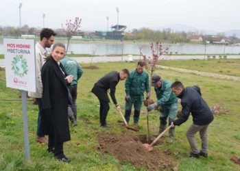 Mbjellen 30 fidane në hapësirat përgjatë Liqenit Akumulues