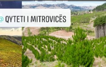 Lajm i mirë: 10,000 fidane do të mbillen në Shalën e Bajgorës