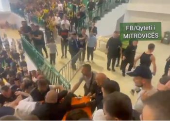Momenti kur nxjerret jashtë palestrës tifozi i alivanosur [ VIDEO ]