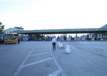 Tre mitrovicas kapen me drogë në kufi