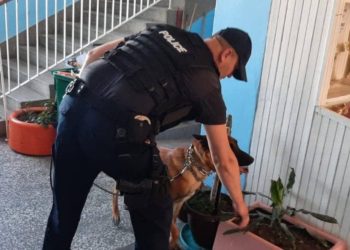 Alarme për bomba në disa shkolla të Kosovës, Njësiti Special i Policisë publikon pamje nga operacioni