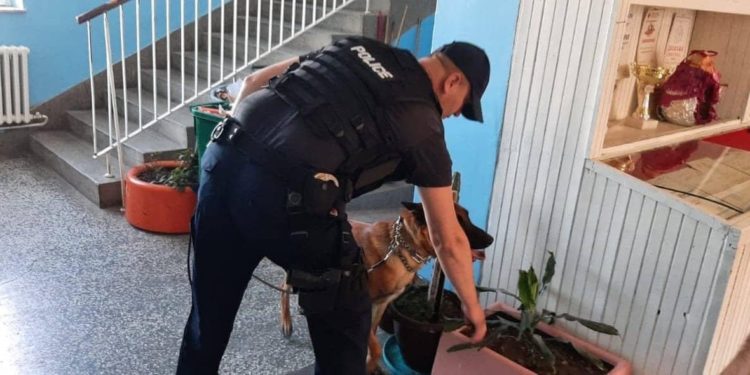 Alarme për bomba në disa shkolla të Kosovës, Njësiti Special i Policisë publikon pamje nga operacioni
