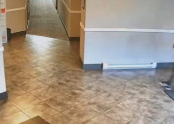 Hajni e ndjek gruan mitrovicase deri në katin e 4-të, ia grabit paratë dhe ikën