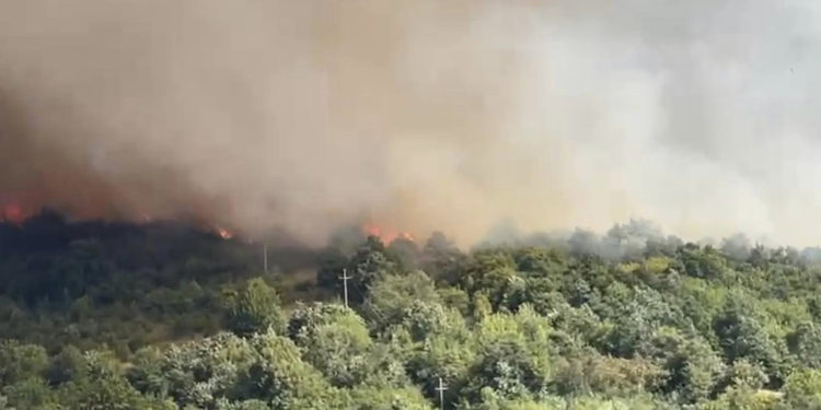 Fshatrat e Mitrovicës përfshihen nga zjarri, Policia, FSK e KFOR-i u dalin në ndihmë banorëve