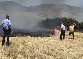 Zjarre masive në Vushtrri, policia kap një person të dyshuar