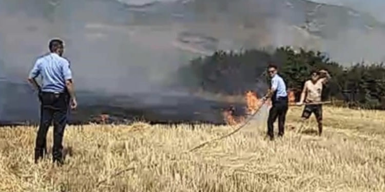 Zjarre masive në Vushtrri, policia kap një person të dyshuar