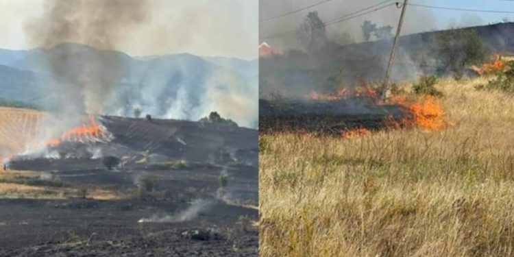 Zjarri përhapet në sipërfaqe të mëdha në fshatrat e Mitrovicës