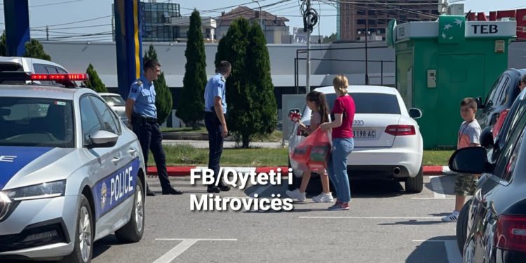 Policia e Kosovës dënon qytetarën Serbe, nuk mbuloi simbolet e shtetit Serb në tabelat e veturës