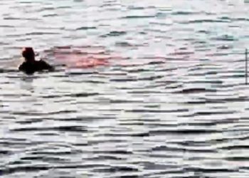 Peshkaqeni mbyt një grua në Egjipt, ia këputi krahun dhe këmbën (VIDEO)