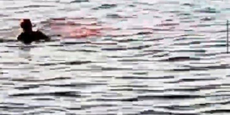 Peshkaqeni mbyt një grua në Egjipt, ia këputi krahun dhe këmbën (VIDEO)