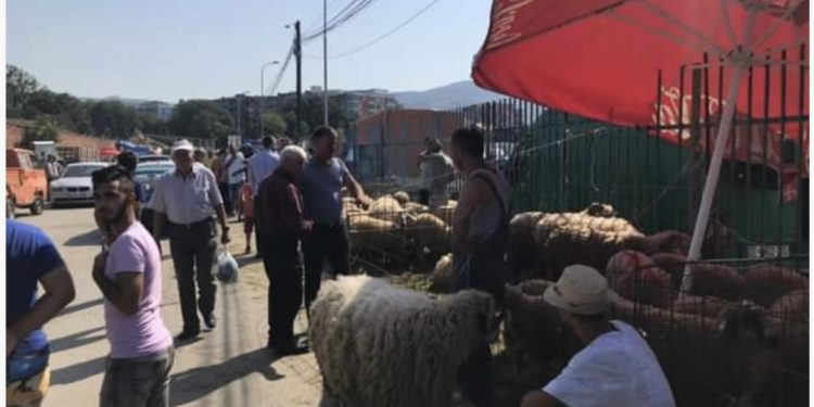 Shtrenjtohet çmimi i kurbaneve, kaq do kushtojë sivjet