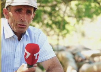 Bariu nga Mitrovica që kujdeset për 273 dele: Nuk e don me e rrahë, po e deshte, të do