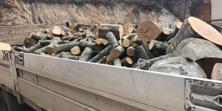 Fluturon” çmimi i drunjëve: Një metër dru, shkon deri në 100 euro