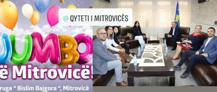 Kompania “JUMBO” do ta mbështes me nyje sanitare çerdhen publike në Mitrovicë   