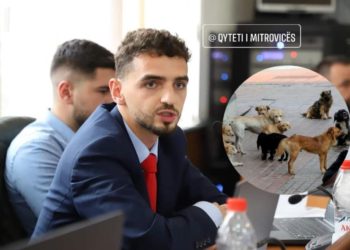 Asambleisti Fisnik Krasniqi vë theks të veçantë për trajtimin e qenëve endacakë në Mitrovicë