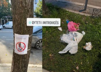 Drejtoria e Ambientit në krye me drejtorin Sadiku vendosin postera informues pergjatë rrugës “Mbretëresha Teutë”