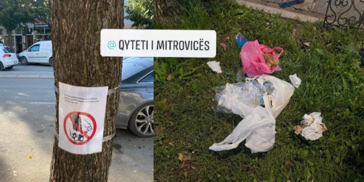 Drejtoria e Ambientit në krye me drejtorin Sadiku vendosin postera informues pergjatë rrugës “Mbretëresha Teutë”