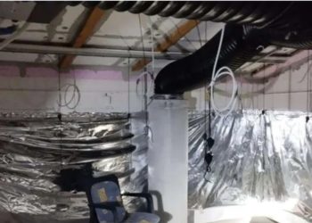 Arrestohet pronari i laboratorit të shkatërruar drogës në Leposaviq me vlerë 250 mijë €