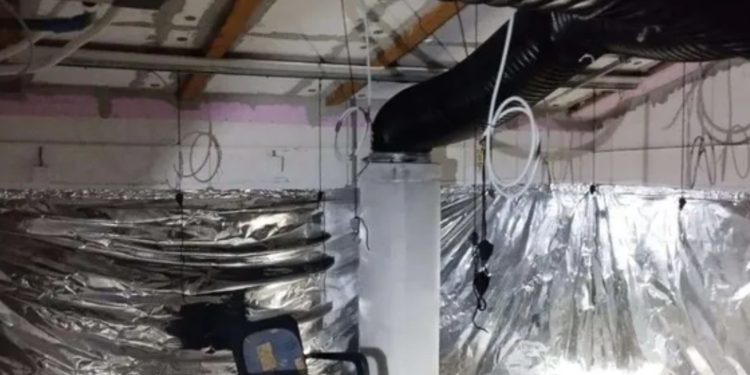 Arrestohet pronari i laboratorit të shkatërruar drogës në Leposaviq me vlerë 250 mijë €