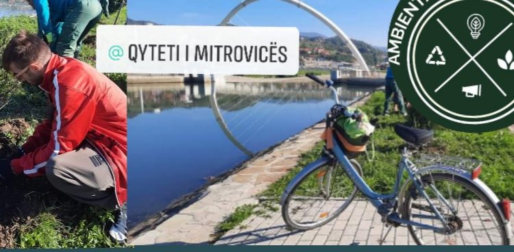 Ambientalistët e Mitrovicës pastruan shetitorën e Ibrit dhe mbollën 11 Pemë