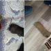 Aksion në Veri: Arrestohet një person dhe gjenden armatim e pajisje për trazira (FOTO)