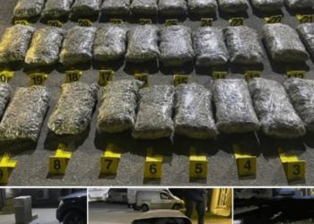 Kapja e 107 kg marihuanë: Pamje të drogës që u gjet në kamionin me targa të Serbisë