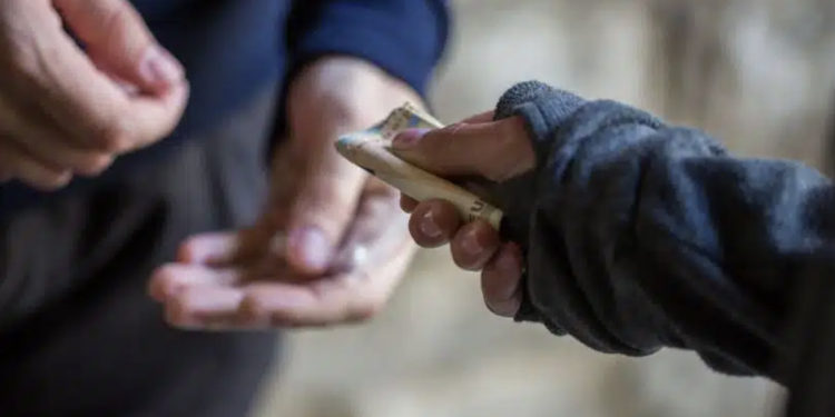 Policia gjen drogë në banesën e të riut në Mitrovicë, 22-vjeçari dërgohet në mbajtje