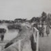 Si filloi mësimi në gjuhën shqipe në Mitrovicë më 1910?