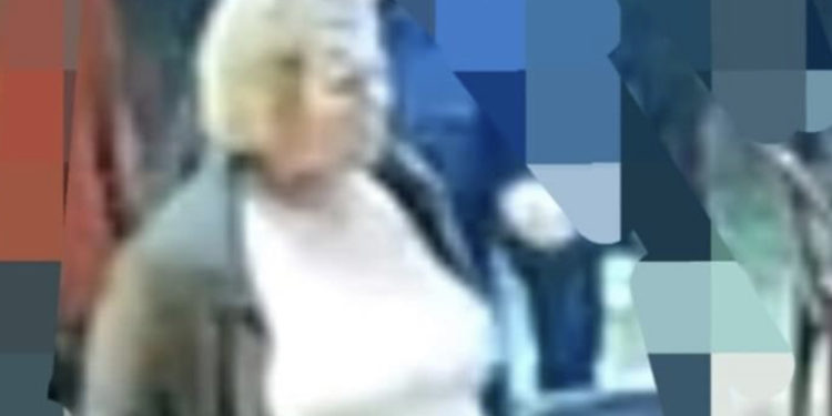 Policia në Mitrovicë kërkon bashkëpunim për gjetjen e të dyshuarës në fotografi