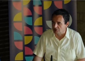 Kurti: Kontributi i mërgatës ndjehet në të gjithë sektorët