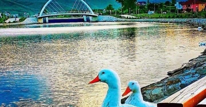 Ngriten temperaturat: Mot me diell dhe temperatura që do shkojnë deri 29 gradë