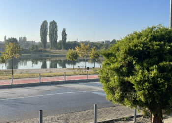 Parashikimi i motit për sot