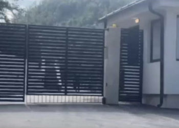 Dyshohet që gjatë bastisja në vilën e Radoiçiqit është vrarë qeni i tij