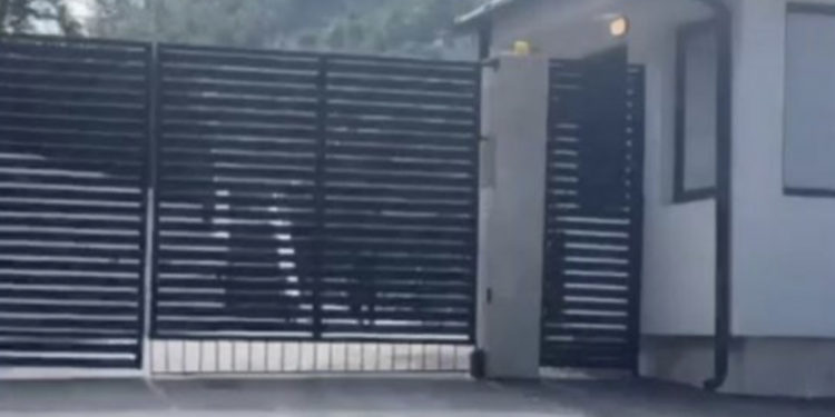 Dyshohet që gjatë bastisja në vilën e Radoiçiqit është vrarë qeni i tij