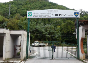 Trepça jep jashtëligjshëm me qira hapësirat në terminalin doganor