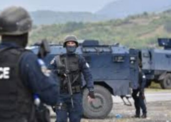 Policia ndal një kombi në Veri, po fuste dele ilegalisht nga territori i Serbisë