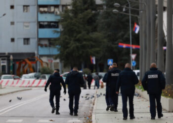 “Pas datës 20, shumica e policëve mbesin me nga 2 euro në xhep”