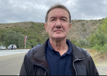 Gazetari serb ngre alarmin: Britma të vdekjes në Mitrovicë, qentë endacak po helmohen masovikisht