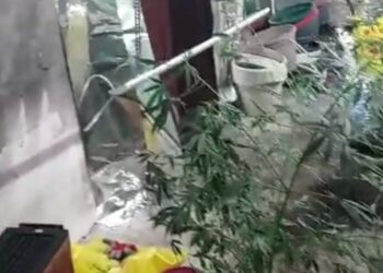 Policia gjen një laborator droge në Leposaviq, personi i dyshuar arrestohet në pikën kufitare në Jarinje