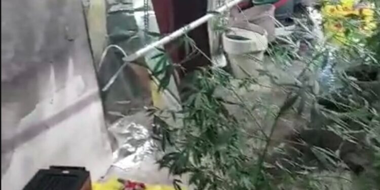 Policia gjen një laborator droge në Leposaviq, personi i dyshuar arrestohet në pikën kufitare në Jarinje