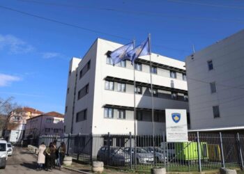 Mitrovica e Veriut hap thirrje për subvencionim për fëmijë e çifte të reja