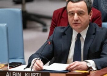 Kurti për dinarin: S’pranojmë propozime që janë në kundërshtim me rregulloren e BQK