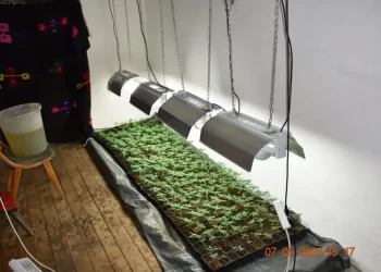 Laboratori i drogës në Leposaviq, kërkohet paraburgim për të dyshuarin