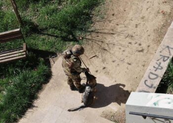 KFOR gjen një pushkë të varur në një pemë në Zveçan, policia zbardhë detajet