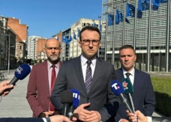 Serbia kërkon zgjerimin e territorit të Mitrovicës së Veriut si parakusht për hapjen e urës, thotë Petkoviq